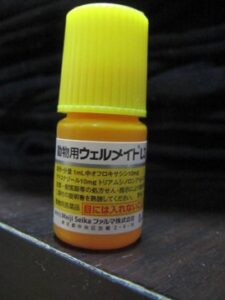 耳の病気について こまち動物病院 茨城県つくば市の犬 猫 鳥専門の動物病院